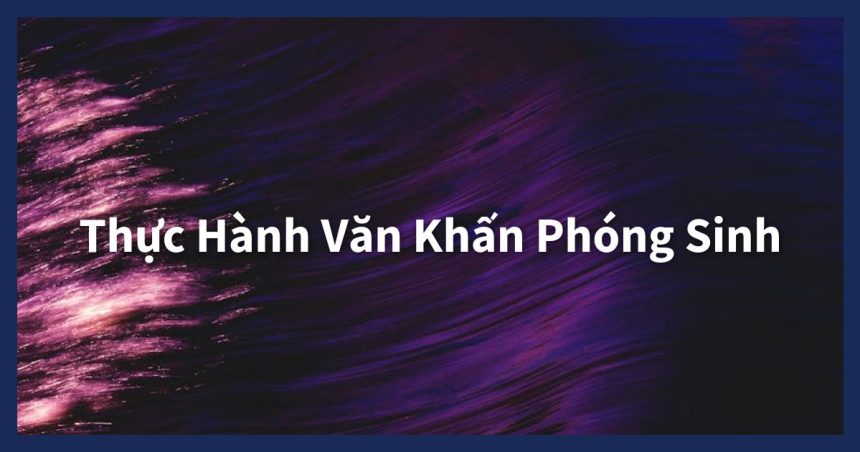 Hướng dẫn chi tiết cách đọc văn khấn phóng sinh. Hiểu rõ nghi thức, chuẩn bị lễ vật, và chọn ngày tốt để hồi hướng công đức, cầu sức khỏe, tài lộc.